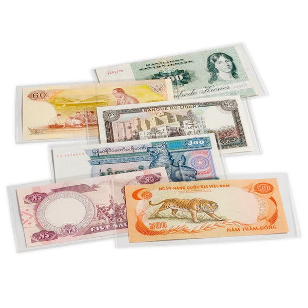 50 banknote protective sleeves, BASIC, 204x123 mm