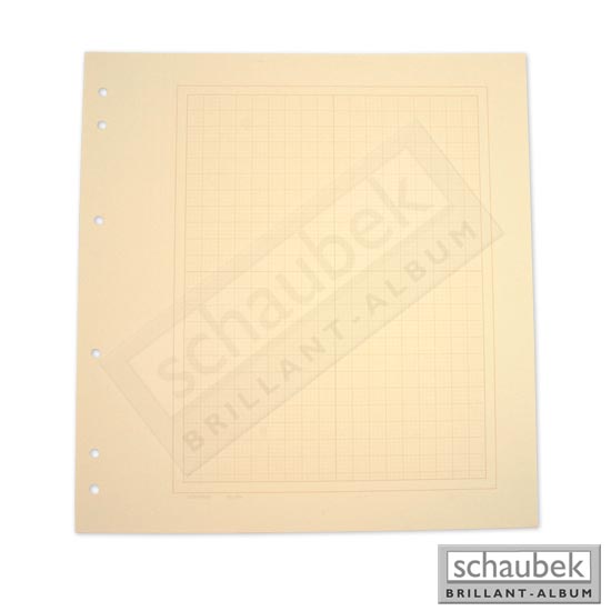 20 Blankoblätter chamois mit Rahmen und Netzaufdruck