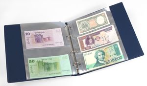 Banknote album with 20 crystal-clear, divided foil sleeves