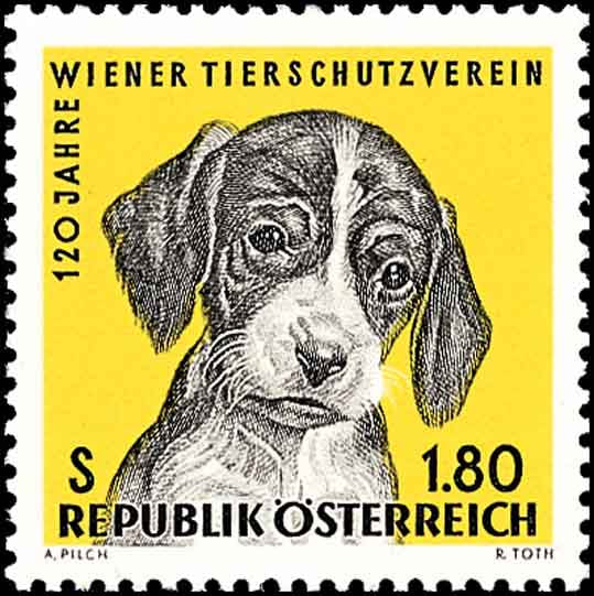 120 Jahre Wiener Tierschutzverein