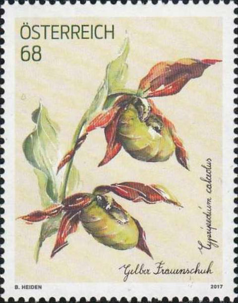 Treubonismarke 2016 - Gelber Frauenschuh