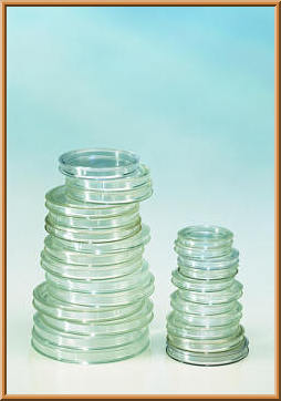 Coin capsules 37.5 mm